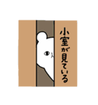 全国の【小室】さんのためのスタンプ（個別スタンプ：34）