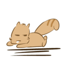 パットパットリス（個別スタンプ：37）