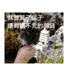 Jurassic Cave - Dinosaur rex（個別スタンプ：10）