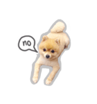 Bon Bon the Pom Pom（個別スタンプ：3）