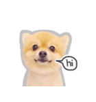 Bon Bon the Pom Pom（個別スタンプ：7）