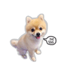 Bon Bon the Pom Pom（個別スタンプ：15）