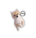 Bon Bon the Pom Pom（個別スタンプ：18）