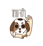 Smalsri this is a Dog（個別スタンプ：2）