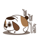 Smalsri this is a Dog（個別スタンプ：12）