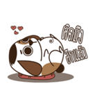 Smalsri this is a Dog（個別スタンプ：13）