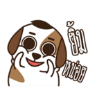 Smalsri this is a Dog（個別スタンプ：25）