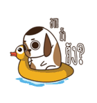 Smalsri this is a Dog（個別スタンプ：27）