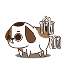 Smalsri this is a Dog（個別スタンプ：29）