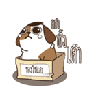Smalsri this is a Dog（個別スタンプ：32）
