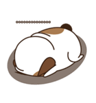 Smalsri this is a Dog（個別スタンプ：33）