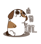 Smalsri this is a Dog（個別スタンプ：34）