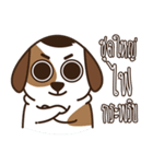 Smalsri this is a Dog（個別スタンプ：36）