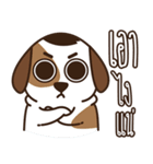 Smalsri this is a Dog（個別スタンプ：39）