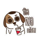 Smalsri this is a Dog（個別スタンプ：40）