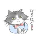 グレとモフとお友達（個別スタンプ：19）