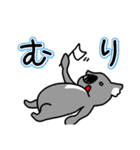 コアラですが何か？（個別スタンプ：16）