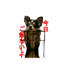ちわわのちぃ（個別スタンプ：20）