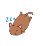 Cat Arai（個別スタンプ：2）