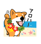 柴犬＊花とゆかいな仲間たち（個別スタンプ：5）