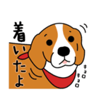 柴犬＊花とゆかいな仲間たち（個別スタンプ：10）