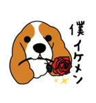 柴犬＊花とゆかいな仲間たち（個別スタンプ：11）