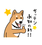 柴犬＊花とゆかいな仲間たち（個別スタンプ：12）