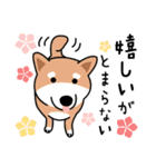 柴犬＊花とゆかいな仲間たち（個別スタンプ：14）