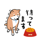 柴犬＊花とゆかいな仲間たち（個別スタンプ：17）