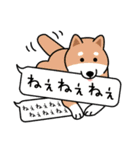 柴犬＊花とゆかいな仲間たち（個別スタンプ：18）