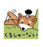 柴犬＊花とゆかいな仲間たち（個別スタンプ：21）