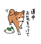 柴犬＊花とゆかいな仲間たち（個別スタンプ：22）