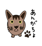 柴犬＊花とゆかいな仲間たち（個別スタンプ：25）