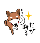 柴犬＊花とゆかいな仲間たち（個別スタンプ：33）