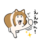 柴犬＊花とゆかいな仲間たち（個別スタンプ：37）