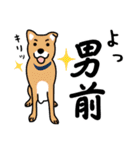 柴犬＊花とゆかいな仲間たち（個別スタンプ：39）