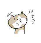 ねこ？ねこ？ねここ！！（個別スタンプ：8）