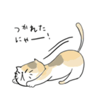 ねこ？ねこ？ねここ！！（個別スタンプ：21）