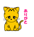 仔猫のさとちゃん（個別スタンプ：17）