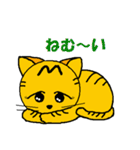 仔猫のさとちゃん（個別スタンプ：34）