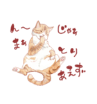 catanoryneco猫ver.2（個別スタンプ：13）