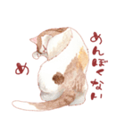 catanoryneco猫ver.2（個別スタンプ：16）