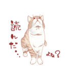 catanoryneco猫ver.2（個別スタンプ：23）