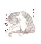 catanoryneco猫ver.2（個別スタンプ：24）