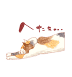 catanoryneco猫ver.2（個別スタンプ：31）