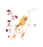 catanoryneco猫ver.2（個別スタンプ：40）