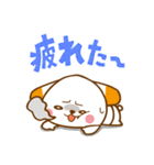 ウサギ薬剤師 ふぁるるん（個別スタンプ：13）