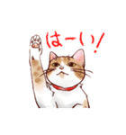 関西のにゃんこたち（個別スタンプ：1）