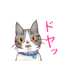 関西のにゃんこたち（個別スタンプ：2）