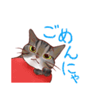 関西のにゃんこたち（個別スタンプ：5）